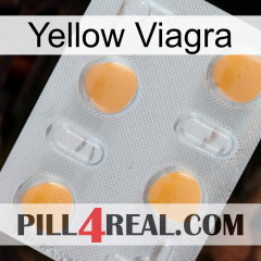 Yellow Viagra 24